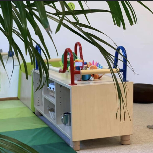 zebra-IMG-4090 zebra-IMG-4090