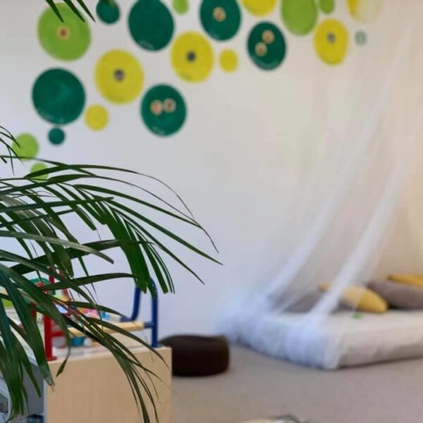 zebra-IMG-4099 zebra-IMG-4099