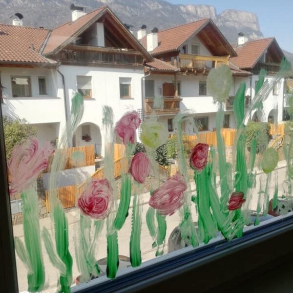 zebra-IMG-4101 zebra-IMG-4101