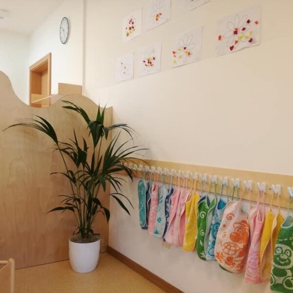 zebra-IMG-4106 zebra-IMG-4106