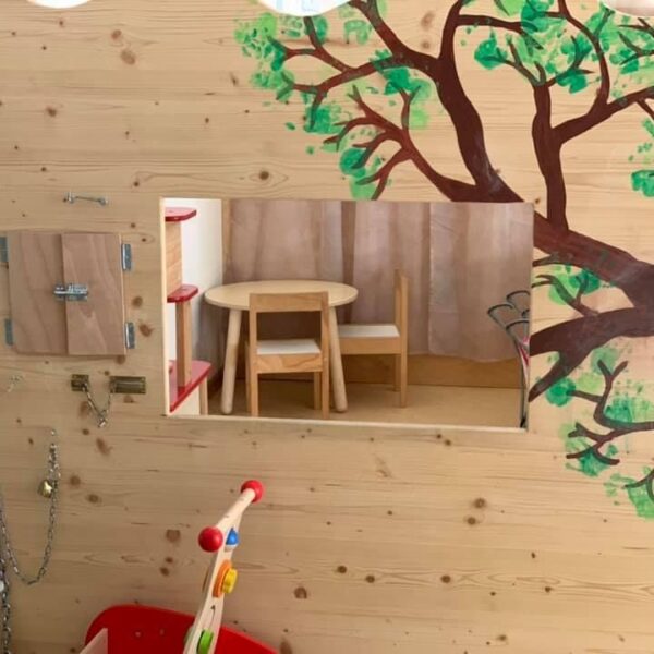 zebra-IMG-7977 zebra-IMG-7977