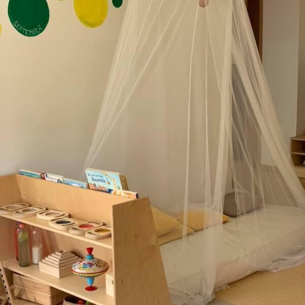 zebra-IMG-7979 zebra-IMG-7979