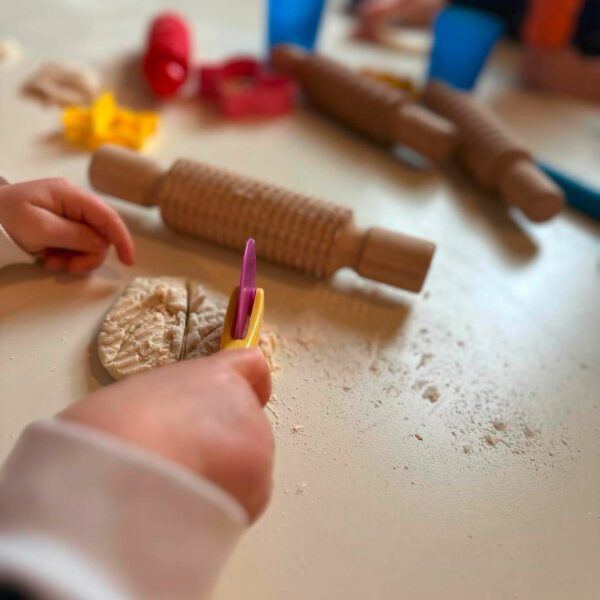 Paideias-Zebra-03 Paideias-Zebra-03